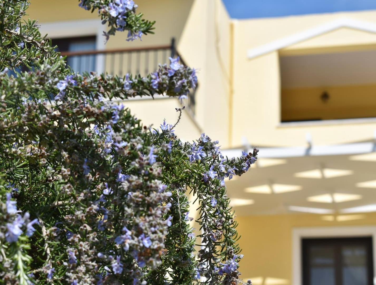 Anemi Superior Deluxe Suite Kolios Buitenkant foto